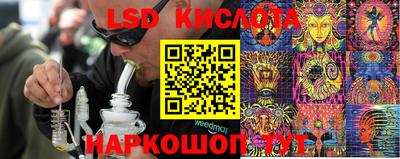 ПСИЛОЦИБИНОВЫЕ ГРИБЫ Пугачёв