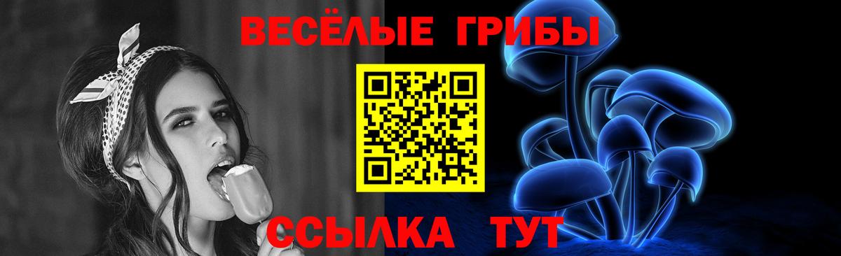 Галлюциногенные грибы мухоморы  Псилоцибиновые грибы GOLDEN TEACHER  Пенза  Вход с VPN 